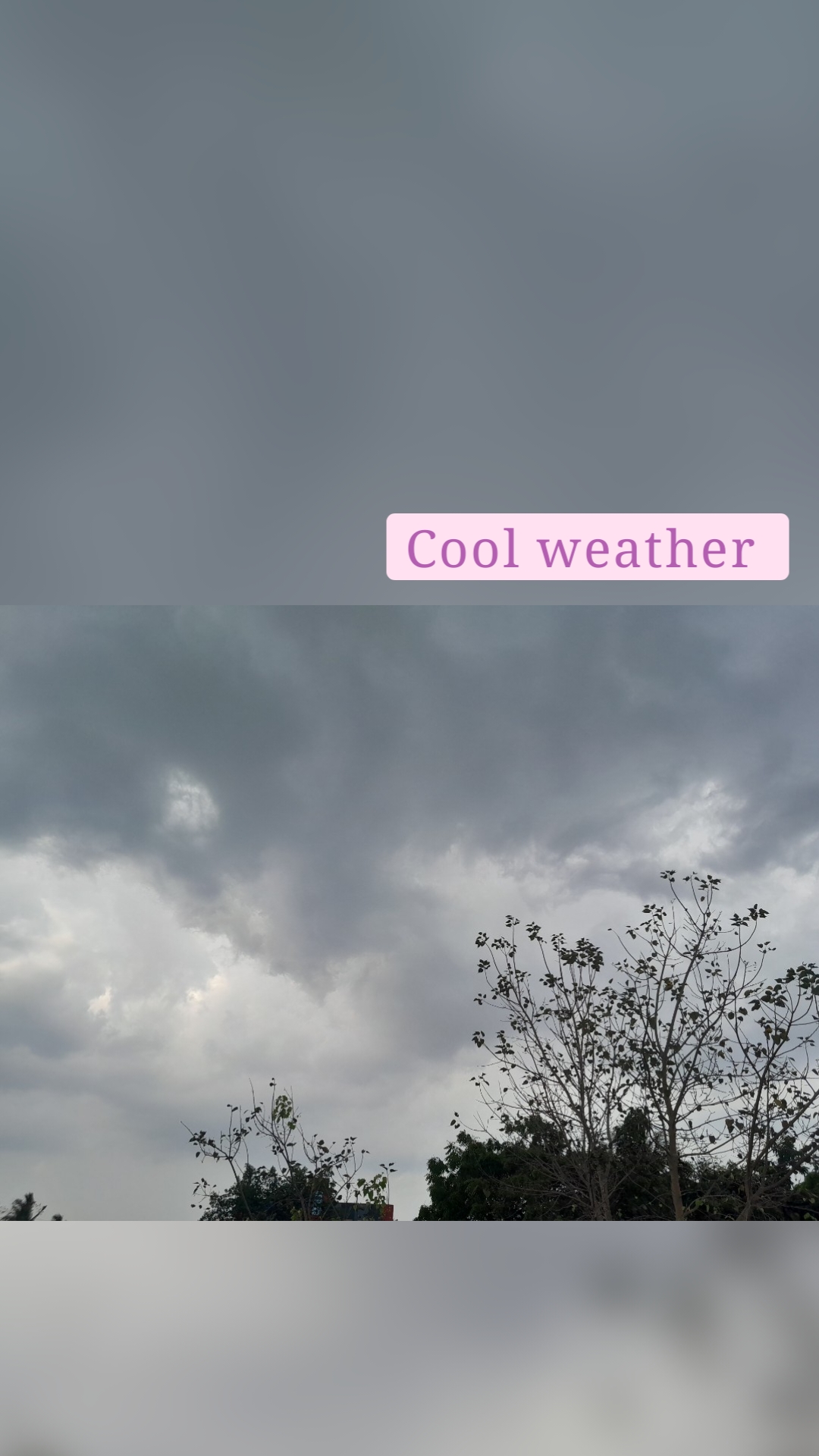 Cool weather 